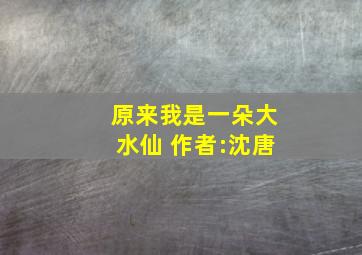 原来我是一朵大水仙 作者:沈唐